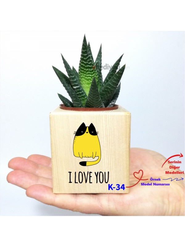 Ahşap Kedi Tasarımlı Küp Saksı Ve Haworthia Sukulent K&hellip;
