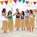 Hawaii Tarzı Hula Eteği 60 Hasır Naturel Etek Hawaii Tarzı Hula Eteği 60 Hasır Naturel Etek
