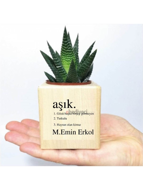 Kişiye Özel Ahşap Aşık Sözlük Tasarımlı Küp Saksıda&hellip;