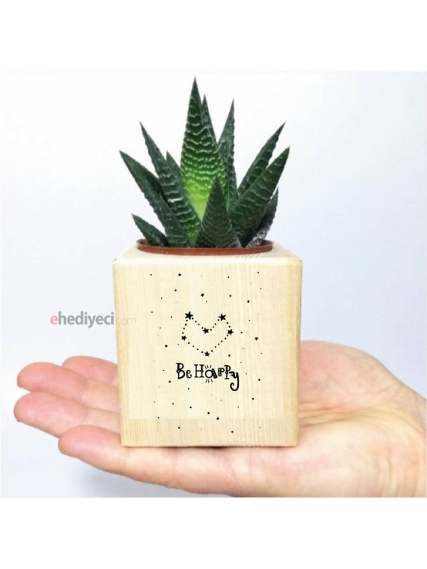 Sevgiliye Kalpli Ahşap Be Happy Temalı Küp Saksıda&hellip;