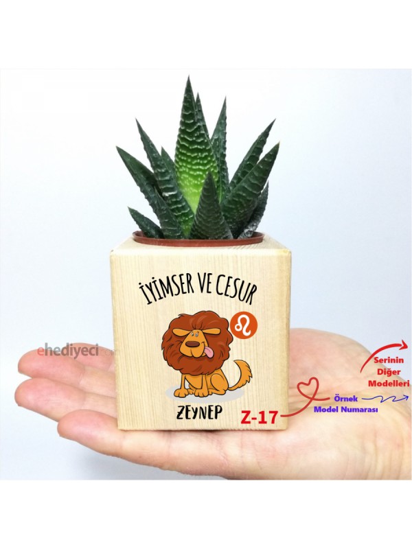 Kişiye Özel Ahşap Burç Temalı Küp Saksı Ve Haworthia&hellip;