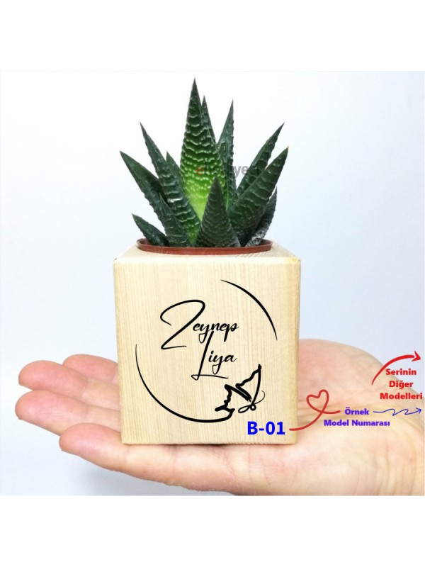 Kişiye Özel Ahşap İsim Yazılı Küp Saksı Ve Haworthia&hellip;