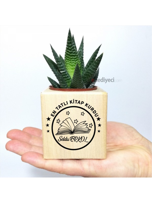 Kişiye Özel İsimli Kitap Temalı Küp Saksı Ve Haworthia&hellip;
