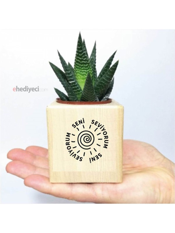 Sevgiliye Ahşap Seni Seviyorum Naturel Küp Saksıda&hellip;