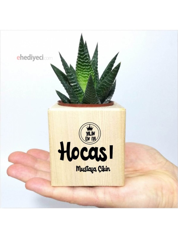 Kişiye Özel Yılın Hocası Temalı Saksıda Sukulent&hellip;