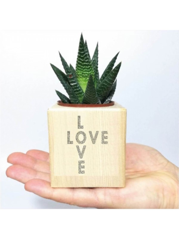 Sevgiliye Ahşap Love Tasarımlı Naturel Küp Saksıda&hellip;