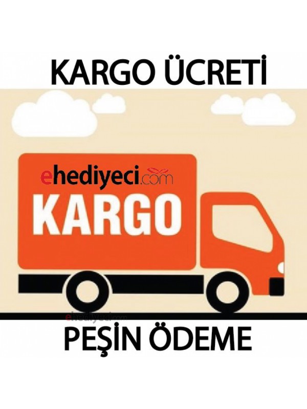 90 TL Aras Kargo Peşin Ödeme Ücreti… 90 TL Aras Kargo Peşin Ödeme Ücreti…