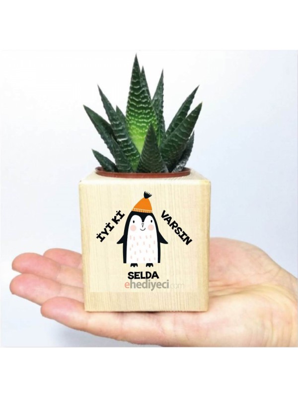 Kişiye Özel Ahşap Sevimli Penguen Temalı Küp Saksıda&hellip;