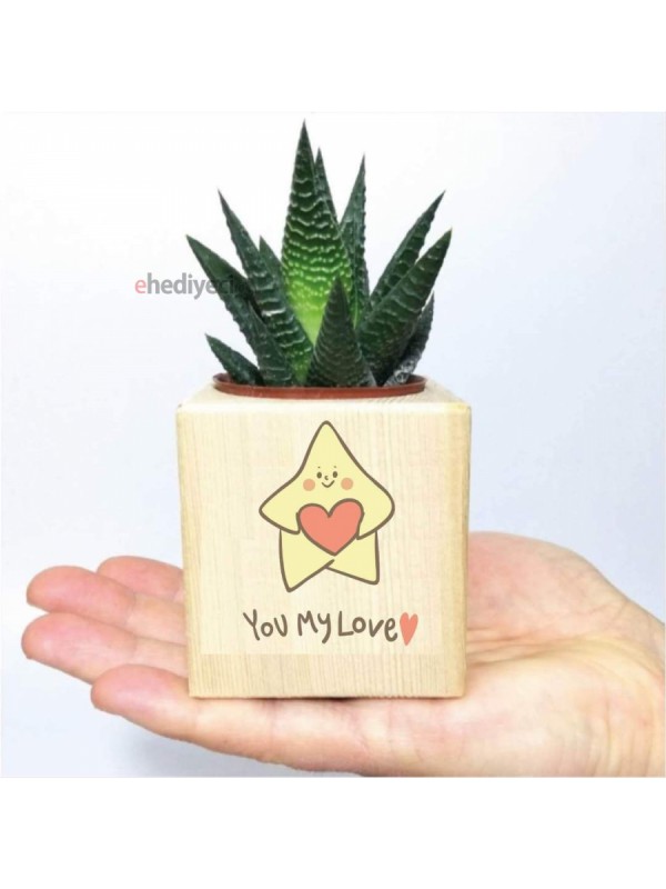Sevgiliye Ahşap You My Love Temalı Küp Saksıda Hawortia&hellip;