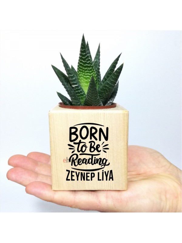 Kişiye Özel İsimli Kitap Temalı Küp Saksı Ve Haworthia&hellip;
