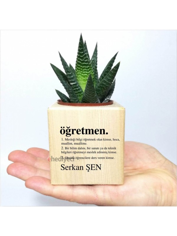Kişiye Özel Öğretmen Temalı Küp Saksıda Sukulent… Kişiye Özel Öğretmen Temalı Küp Saksıda Sukulent…